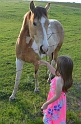 Kids_Bluebonnets2013 (274)
